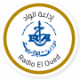 Radio El Oued - الوادي